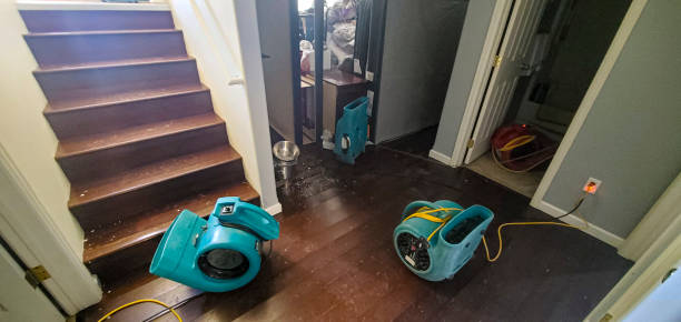 Best Water damage cleanup near me  in Friendship Heights Village, MD