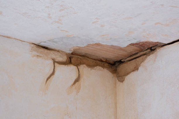 Best Water damage restoration experts  in Friendship Heights Village, MD