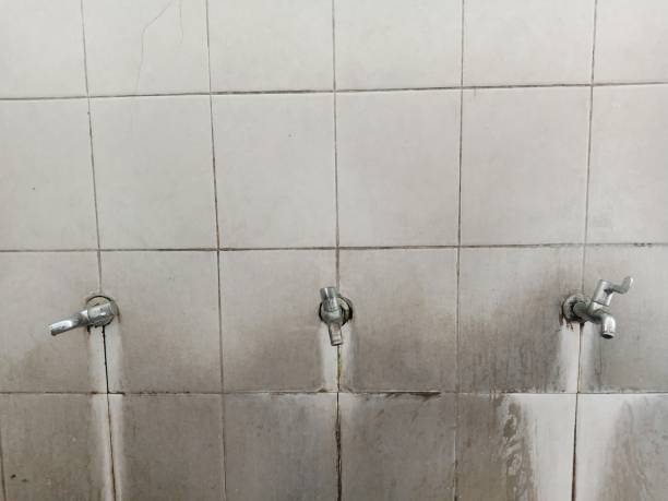 Best Water damage restoration near me  in Friendship Heights Village, MD