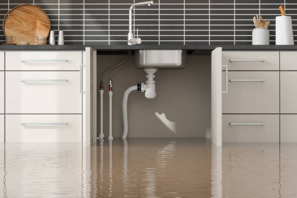 Best 24-hour water damage restoration  in Friendship Heights Village, MD