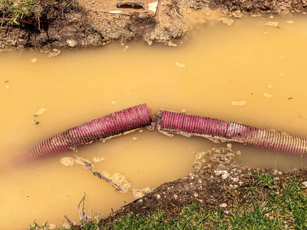 Best Local water damage restoration  in Friendship Heights Village, MD