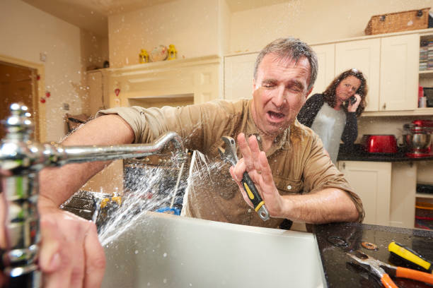 Best Flood damage cleanup  in Friendship Heights Village, MD